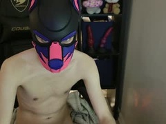 Recent screenshot of mellpup