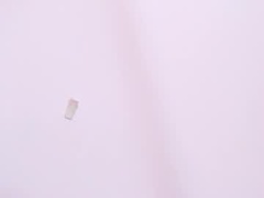 Recent screenshot of miia_orange