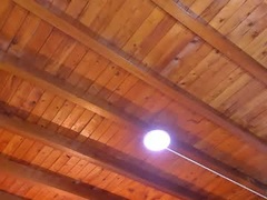 Recent screenshot of miss_emilystar