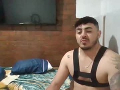 Recent screenshot of misterdeseo88