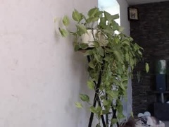 Recent screenshot of mollyforyou