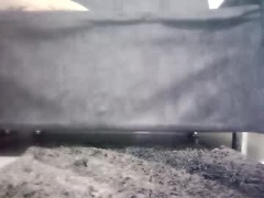 Recent screenshot of monalia17