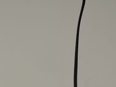 Recent screenshot of naughtyhoneybee_