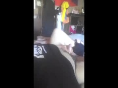 Recent screenshot of nicolas_lope