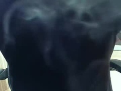 Recent screenshot of niglo620