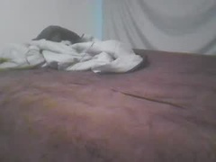 Recent screenshot of norty450