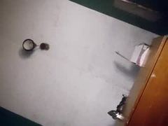 Recent screenshot of pablo6234516161