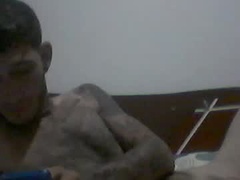 Recent screenshot of paholonardone