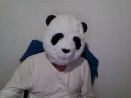 panda_feliz's Profile Picture