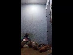 Recent screenshot of papihype