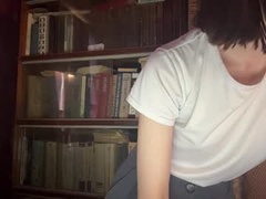 Recent screenshot of pennilinka