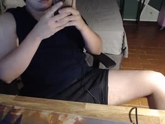 Recent screenshot of pokedex_ss