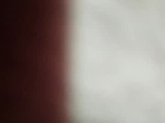 Recent screenshot of pollonreus