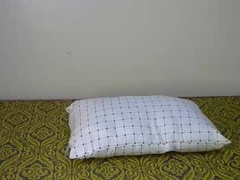 Recent screenshot of pretty_ree