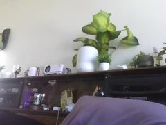 Recent screenshot of rod14511