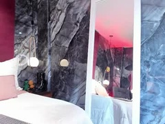 Recent screenshot of salome_____