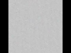 Recent screenshot of salvek