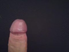 Recent screenshot of samurai1910