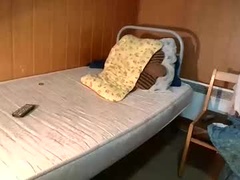 Recent screenshot of sasalimo