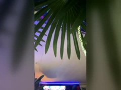 Recent screenshot of seanplushouse