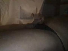 Recent screenshot of sexaass69vergin