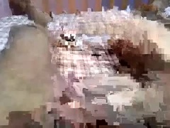 Recent screenshot of shamrinas