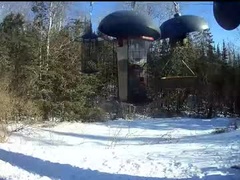 Recent screenshot of silverthorne928