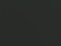 Recent screenshot of slimdikshady