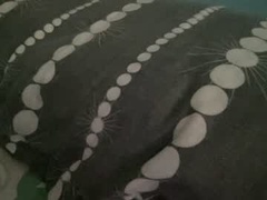 Recent screenshot of sloneiii