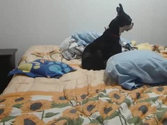 Recent screenshot of sofi995971