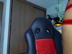 Recent screenshot of sophia_dl