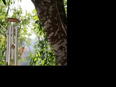 Recent screenshot of spaghetti945