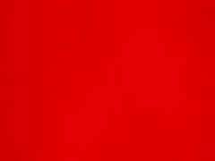 Recent screenshot of spicyblondes