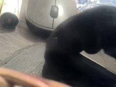 Recent screenshot of stacisavige