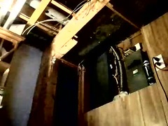 Recent screenshot of stonedstallion2019