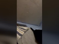 Recent screenshot of stxrr_07