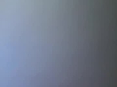 Recent screenshot of tacostorm