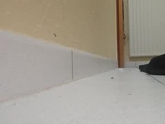 Recent screenshot of tfouslamx