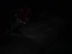 Recent screenshot of the_loneranger