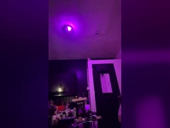 Recent screenshot of theonenotthetwox