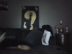 Recent screenshot of therealpankyandthebrain