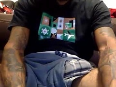 Recent screenshot of thevibez1