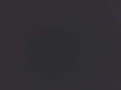 Recent screenshot of tip_me_please