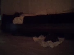 Recent screenshot of tsgoddessdani