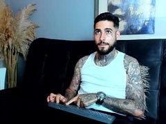 Recent screenshot of vincentsartori