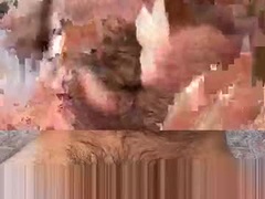 Recent screenshot of welcome_or_deal