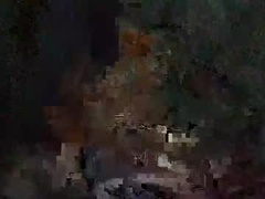 Recent screenshot of whinebae