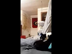 Recent screenshot of willmc2026