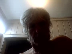 Recent screenshot of winedog2020