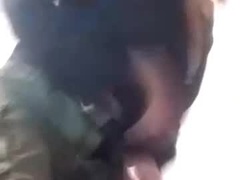 Recent screenshot of zonalecea